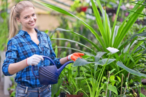 Gardener prepping tools in a residential garden