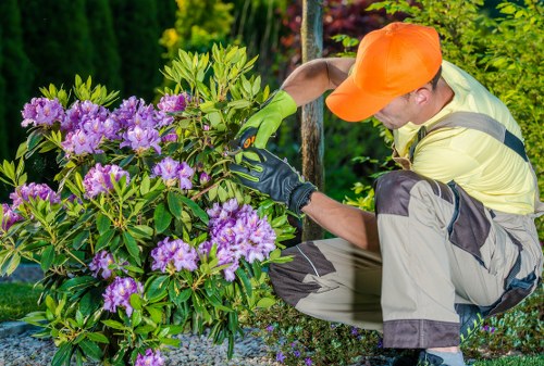 Front view of a gardener working in a suburban garden