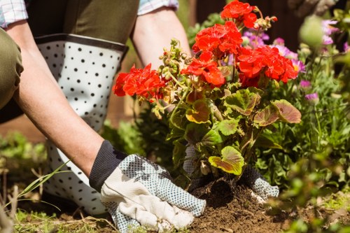 Printed large-print brochure and digital device showing local garden services