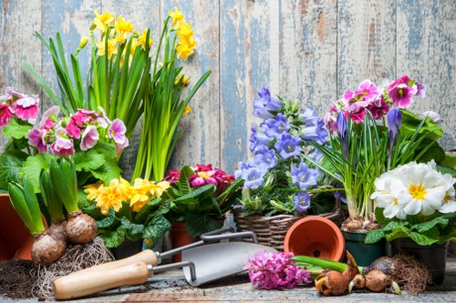 Gardener Erith pruning shrubs